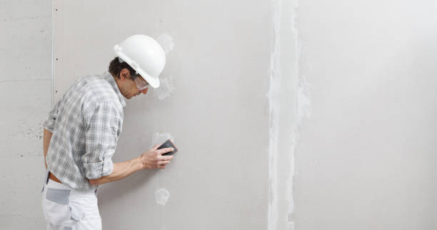 Best Drywall Removal and Disposal  in Hilbert, WI